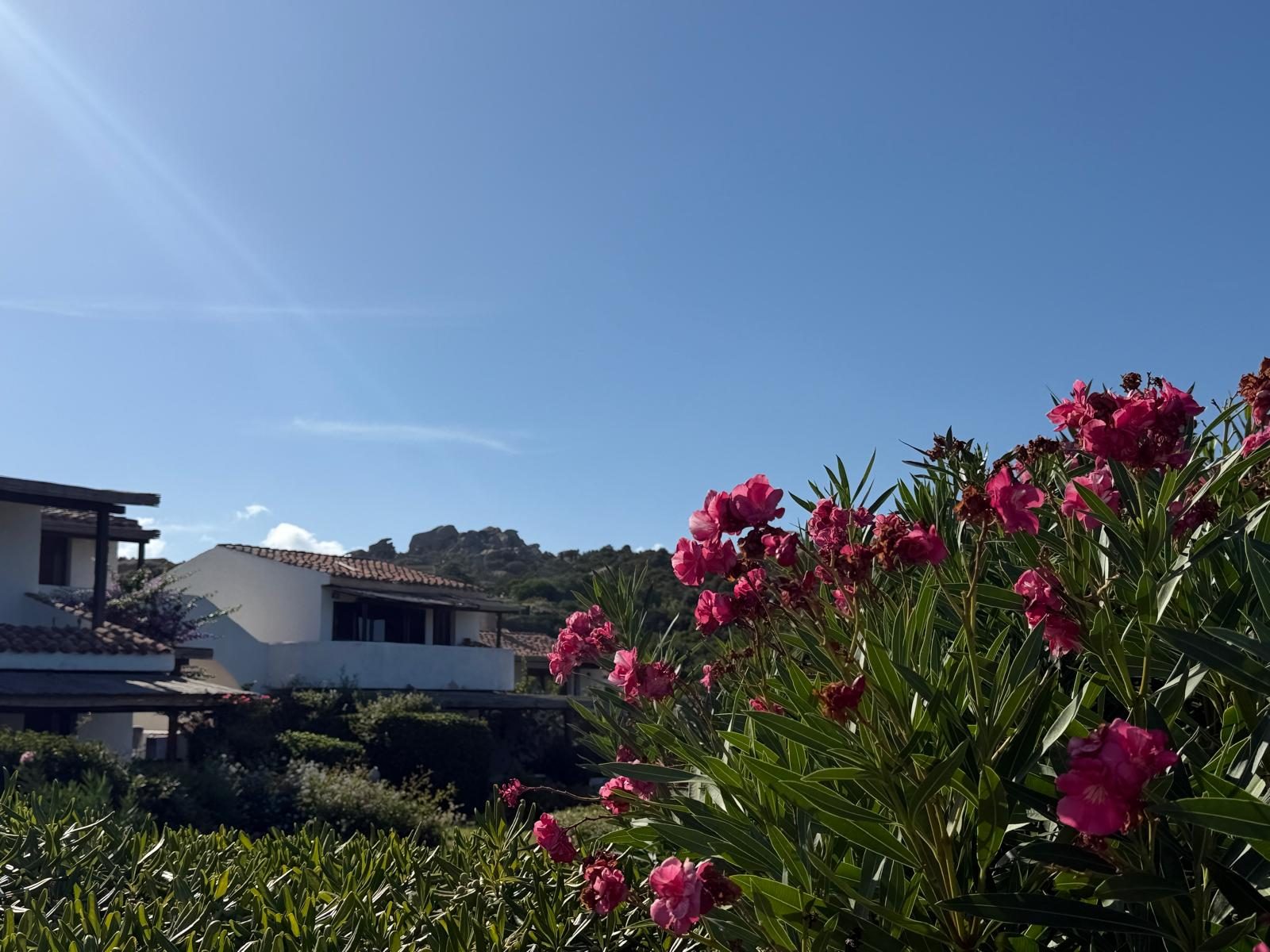 Casa di Cathi photo 8